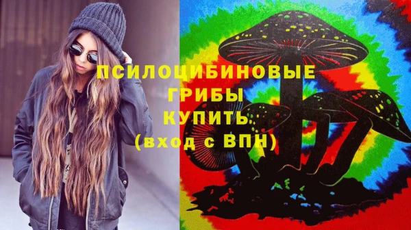 мдма Богородск