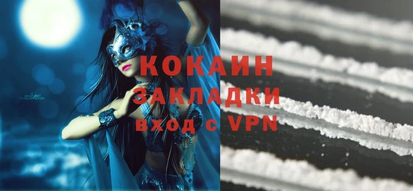 метадон Богданович
