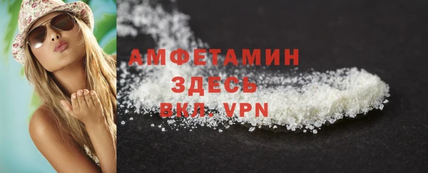 метадон Богданович