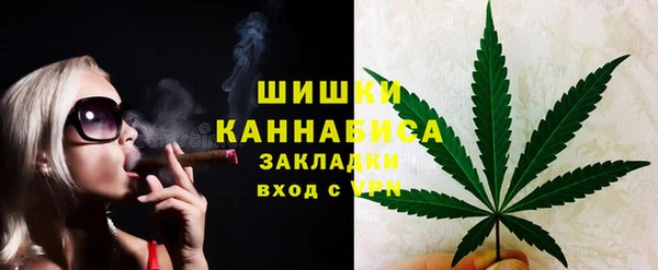 метадон Богданович