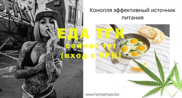 метадон Богданович