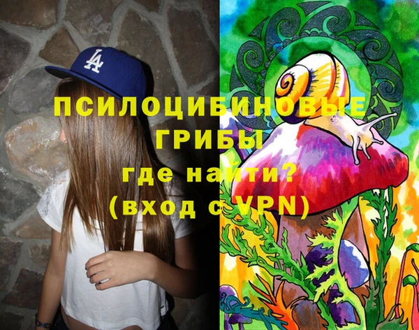 метадон Богданович