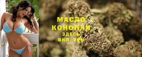 метадон Богданович