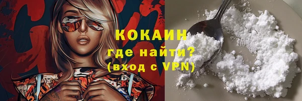 метадон Богданович