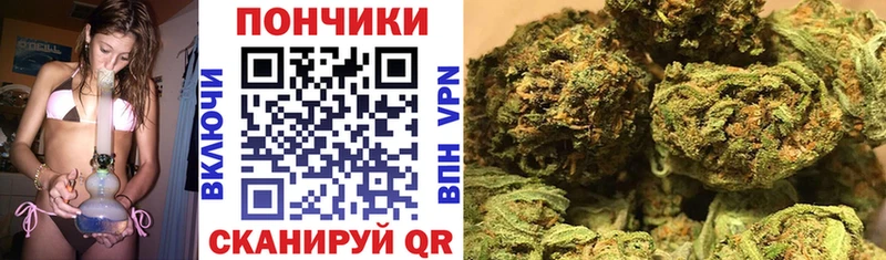 Бошки марихуана конопля  Купить закладки  Чапаевск 
